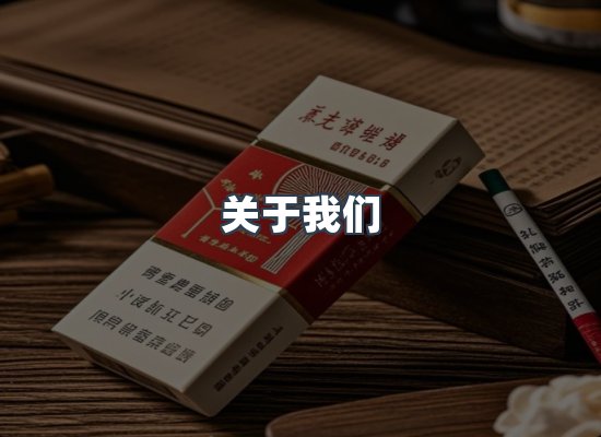 专业团队